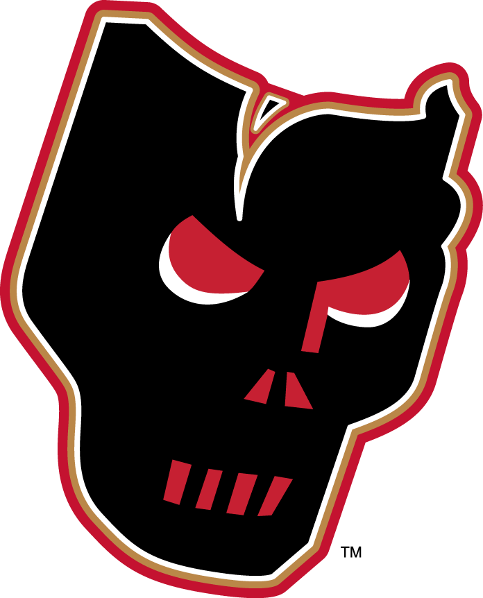 calgary hitmen 2009-pres alternate logo iron on heat transfer